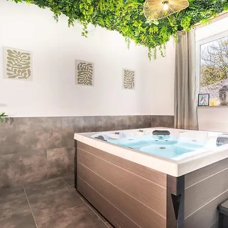 Rheinsteig Sauna-whirlpool-kino Willa *