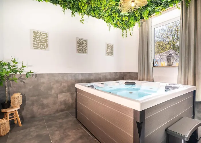 Rheinsteig Sauna-whirlpool-kino Villa *