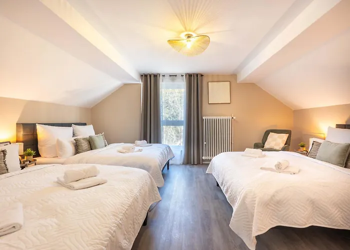 Villa Rheinsteig Sauna-whirlpool-kino